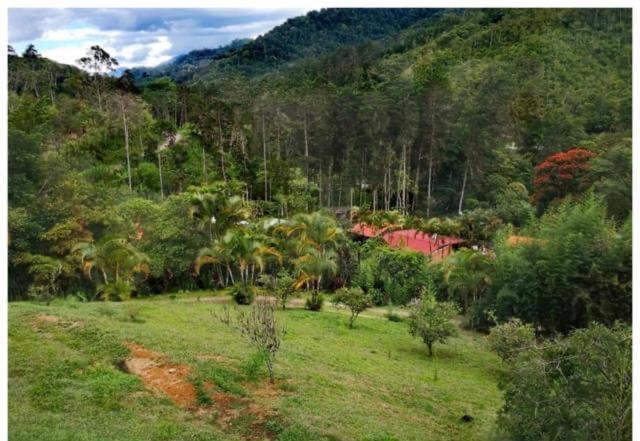 Navarro Mountain Cartago Luaran gambar