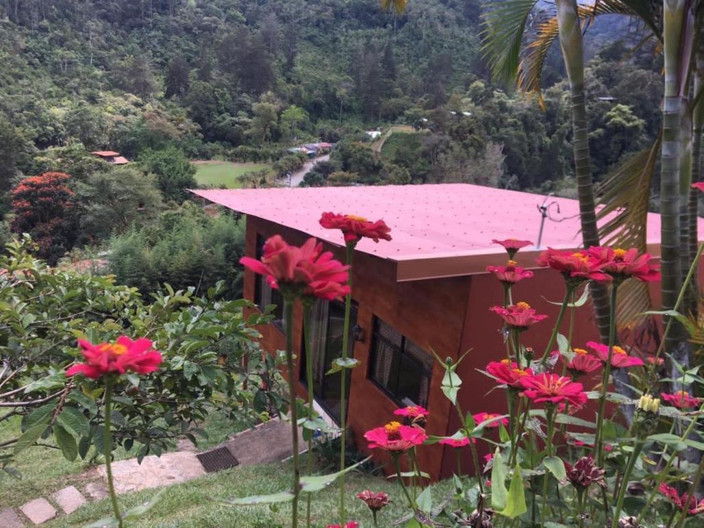 Navarro Mountain Cartago Luaran gambar