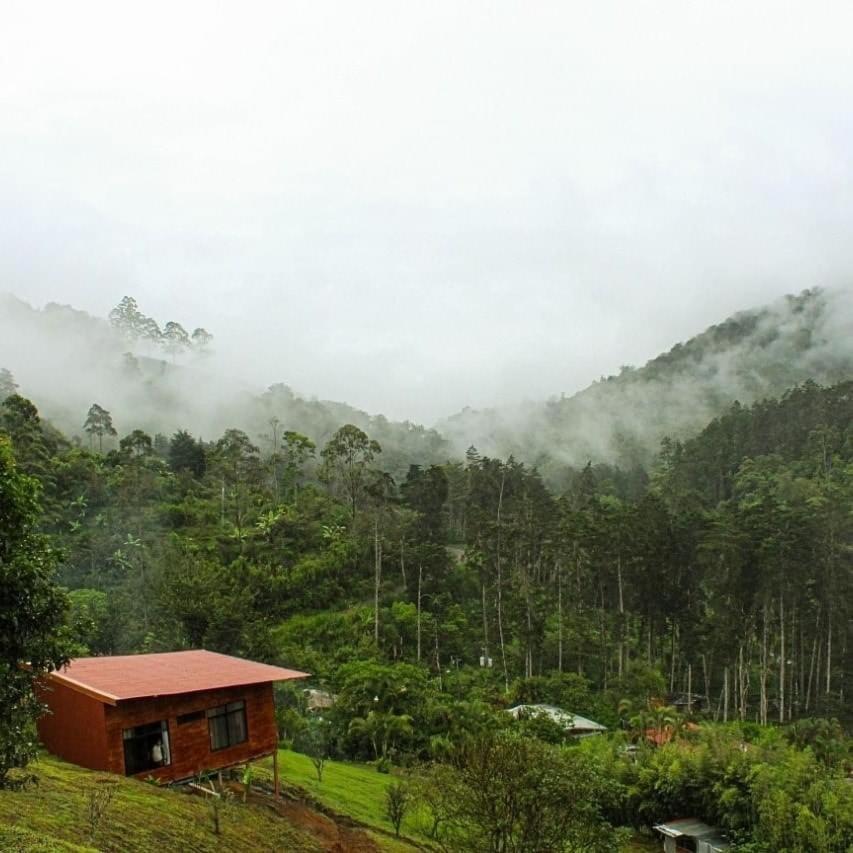 Navarro Mountain Cartago Luaran gambar