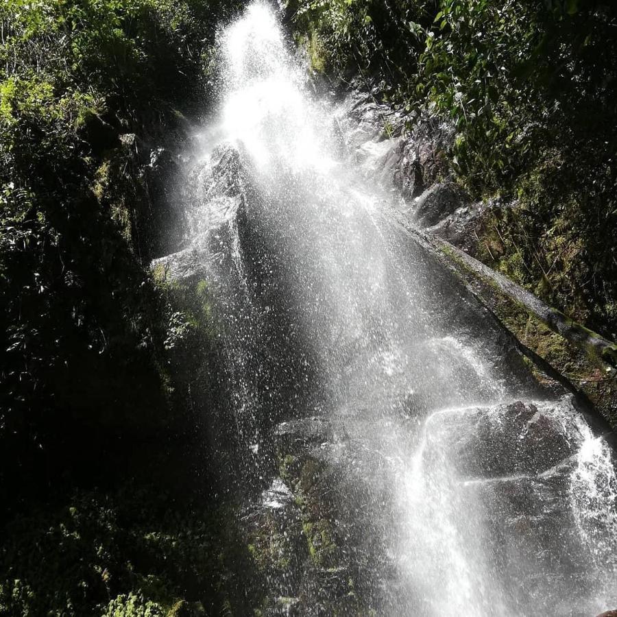 Navarro Mountain Cartago Luaran gambar