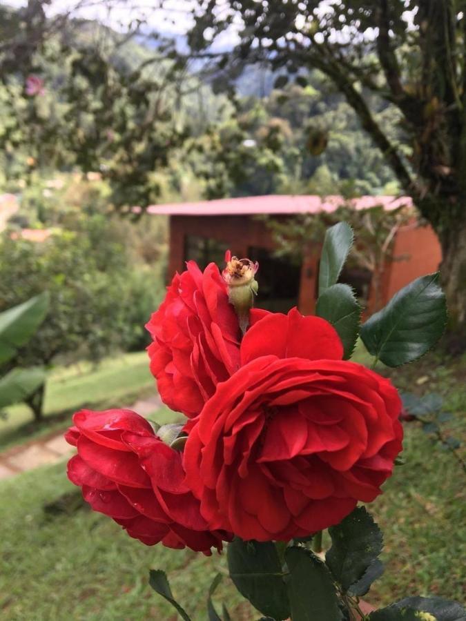 Navarro Mountain Cartago Luaran gambar